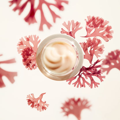 Shiseido Benefiance – Crema Antiarrugas 50 ml